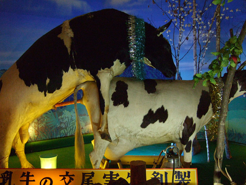 Illustration for article titled Japanese sex museums are where your sanity goes to die (NSFW)